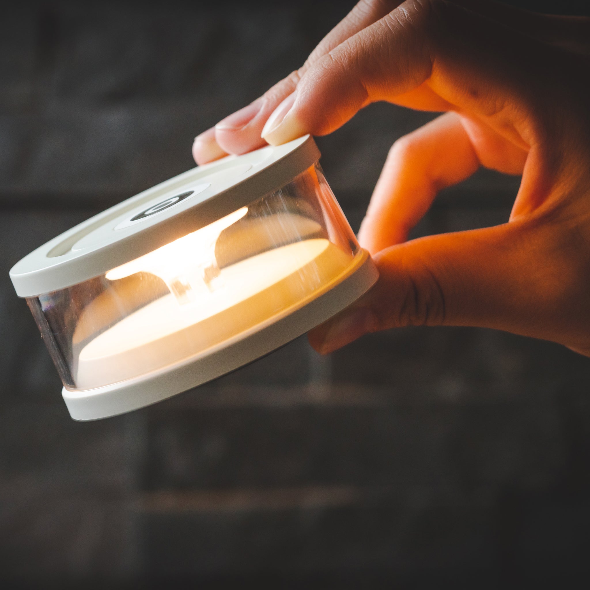 MoriMori LASMO LED S1
