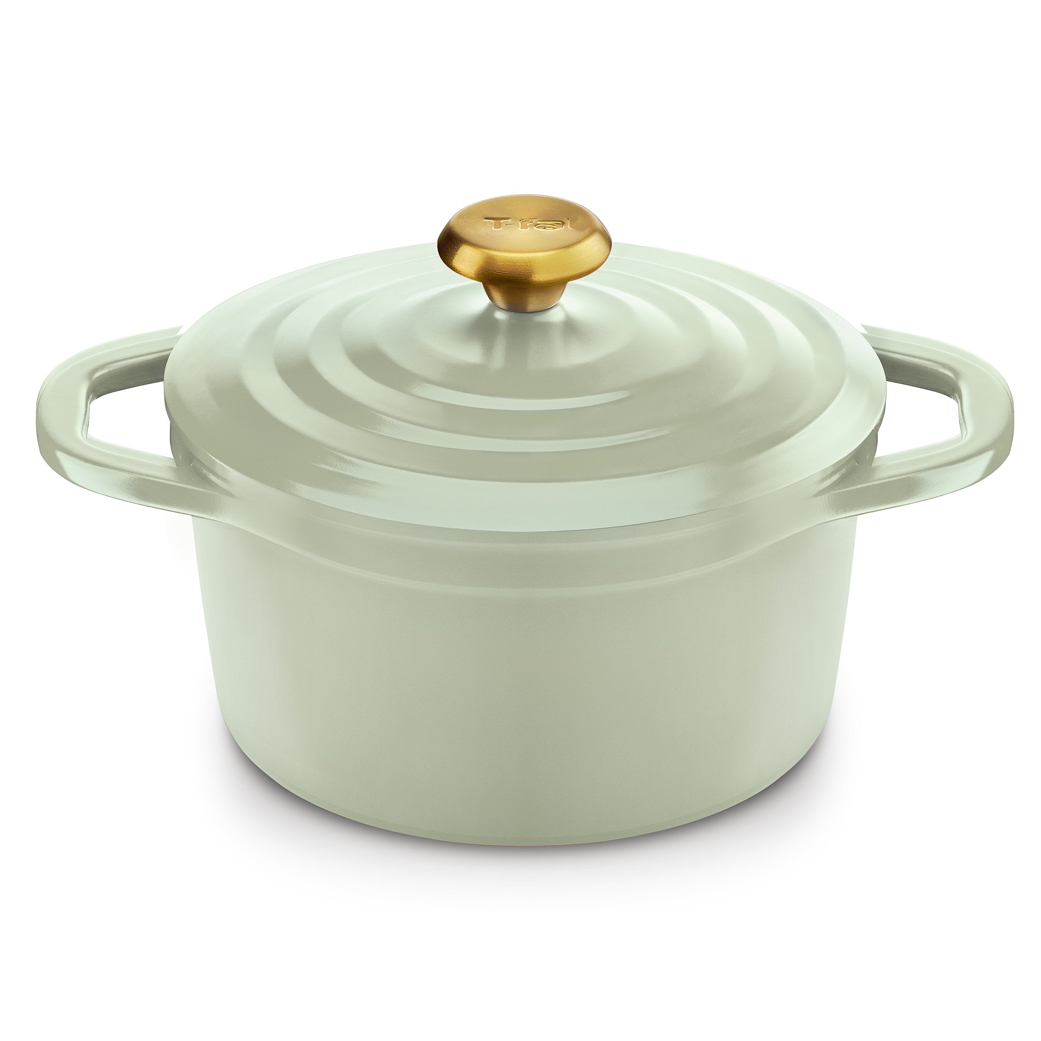 T-FAL ティファール キャストライン エアココット IHココット鍋 24cm