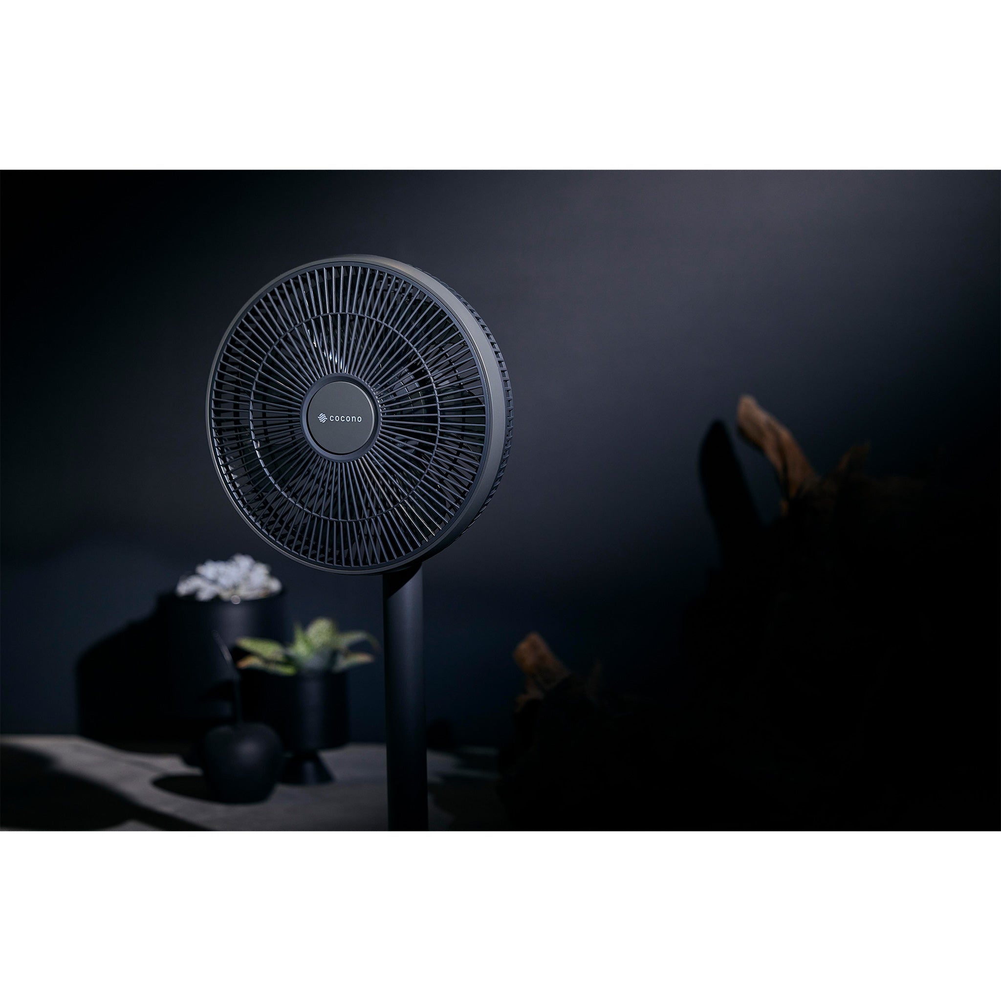 cocono airyfan basic